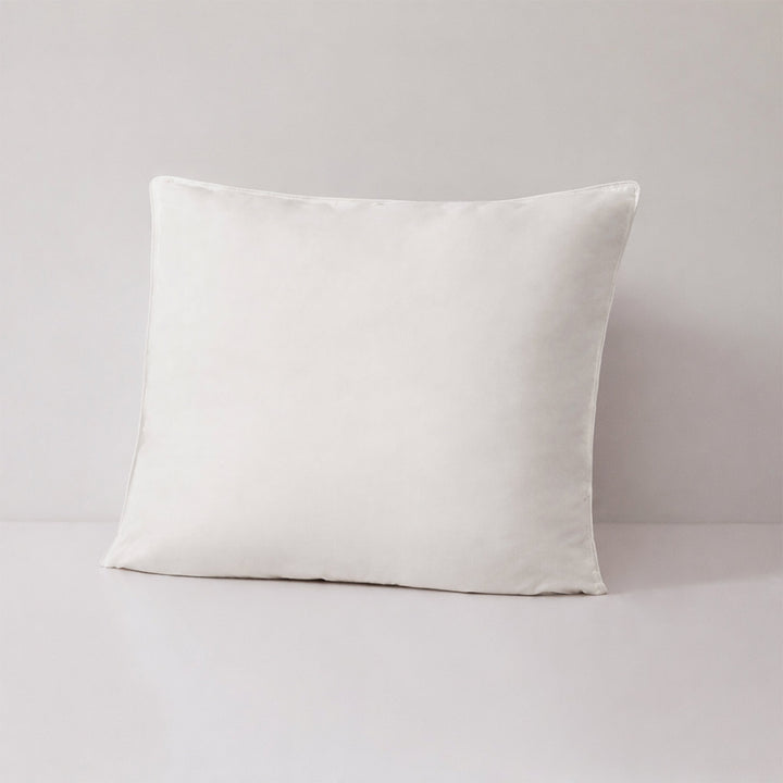 Recycled Down Alternative Euro Insert